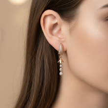 Load image into Gallery viewer, Anti Tarnish CZ Earring 22