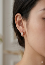 Load image into Gallery viewer, Anti Tarnish CZ Earring 148