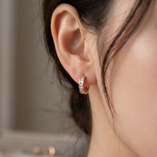 Load image into Gallery viewer, Anti Tarnish CZ Earring 130