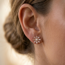Load image into Gallery viewer, Anti Tarnish CZ Earring 134 (small)