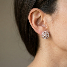 Load image into Gallery viewer, Anti Tarnish CZ Earring 133
