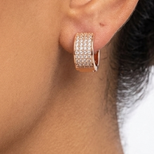 Load image into Gallery viewer, Anti Tarnish CZ Earring 145