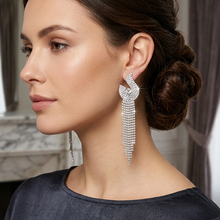Load image into Gallery viewer, Long Earring 1