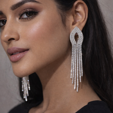 Load image into Gallery viewer, Long Earring 2