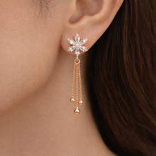Load image into Gallery viewer, Anti Tarnish CZ Earring 121
