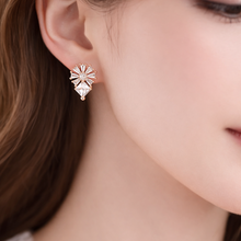 Load image into Gallery viewer, Anti Tarnish CZ Earring 143