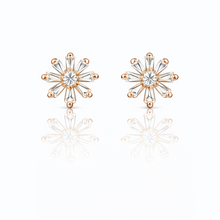 Load image into Gallery viewer, Anti Tarnish CZ Earring 134 (small)