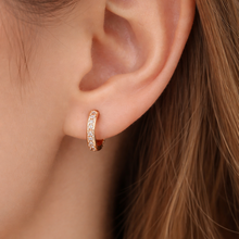 Load image into Gallery viewer, Anti Tarnish CZ Earring 103