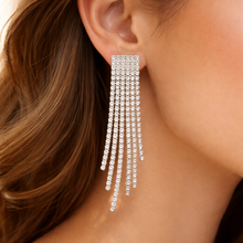 Load image into Gallery viewer, Long Earring 6