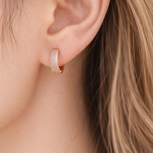 Load image into Gallery viewer, Anti Tarnish CZ Earring 82
