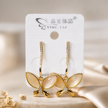 Load image into Gallery viewer, Fancy Earring