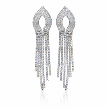 Load image into Gallery viewer, Long Earring 2