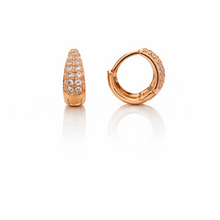 Load image into Gallery viewer, Anti Tarnish CZ Earring 156