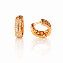 Load image into Gallery viewer, Anti Tarnish CZ Earring 148