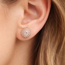 Load image into Gallery viewer, Anti Tarnish CZ Earring 124