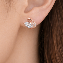 Load image into Gallery viewer, Anti Tarnish CZ Earring-66
