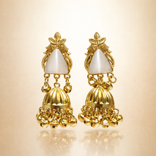 Load image into Gallery viewer, Kashmiri Earrings 54