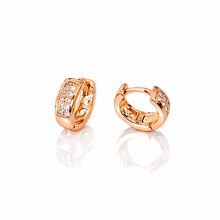 Load image into Gallery viewer, Anti Tarnish CZ Earring 126