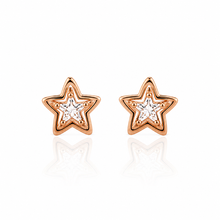 Load image into Gallery viewer, Anti Tarnish CZ Earring-61