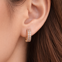 Load image into Gallery viewer, Anti Tarnish CZ Earring 95