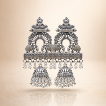 Load image into Gallery viewer, Kashmiri Earrings 47
