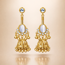 Load image into Gallery viewer, Kashmiri Earrings 46